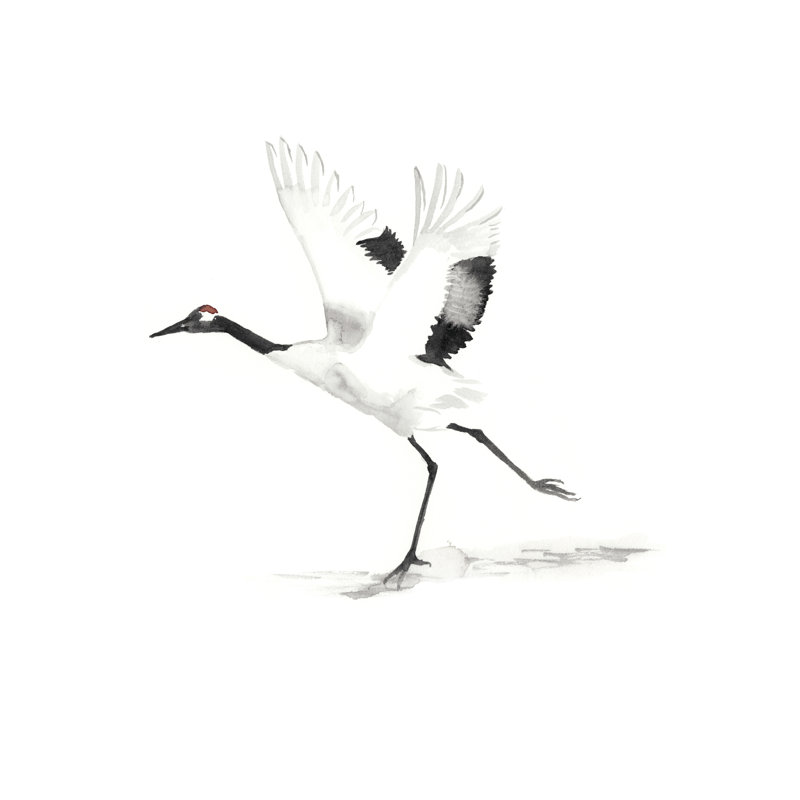 «Japanese Cranes III» par Naomi McCavitt, reproduction d'art sur toile tendue, H 12 po x l 8 po