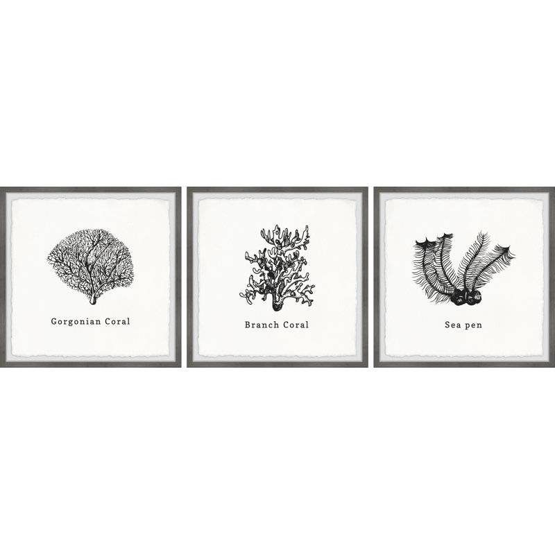 Warminster Sea Pen 3 Piece Wall Art, 61cm H x 183cm W x 3.81cm D