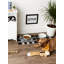 Tapis Akinleye-149749292