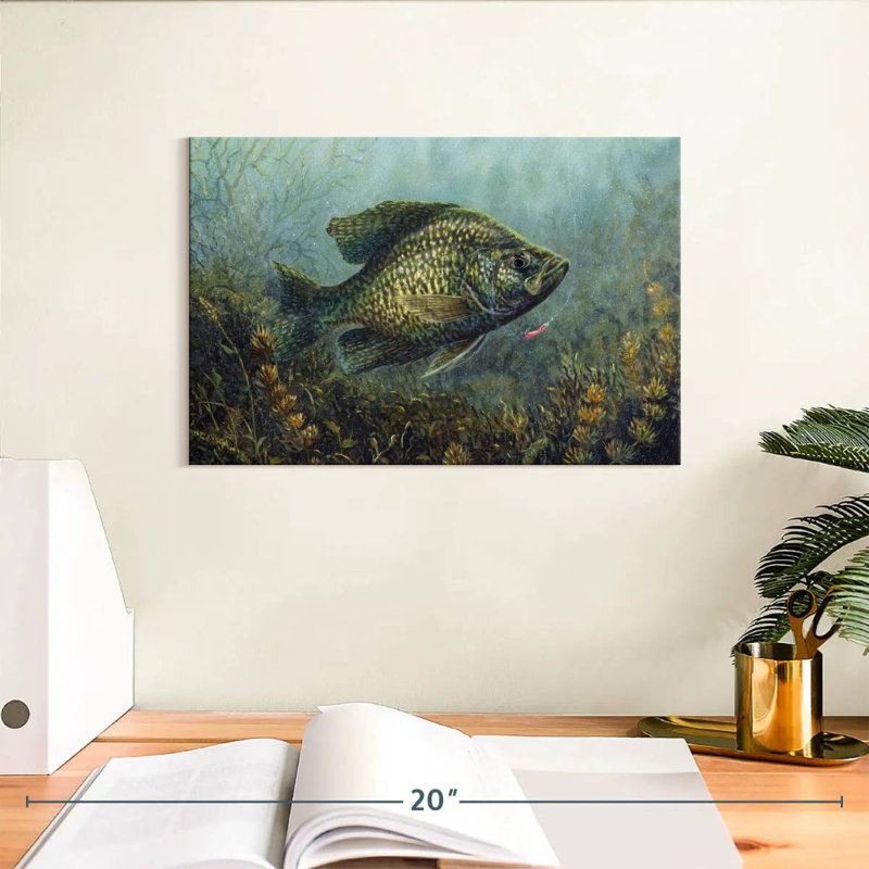 Brampt Black Crappie, 8" H x 12" W
