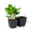 Self-Watering Pot Planter-387514838