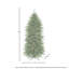 Arbre Norfolk 5 '3m