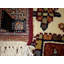 Oriental Area Rug in Orange