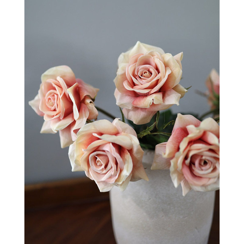 Hollandaise pêche rose 20 po
