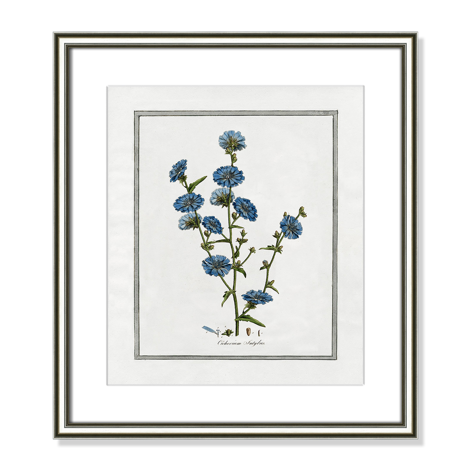 Colombe "Soft Botanical I" Print, 14.25" W x 16.25" H, Silver Framed