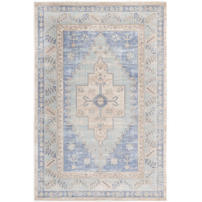 Matthei Oriental Indoor Rug