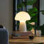 Petite lampe de table en verre-804591053