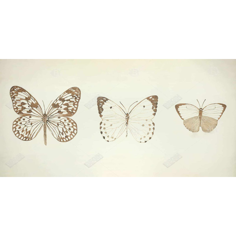 Impression de papillons sépia sur toile