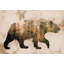 Silhouette d'ours brun - impression-562875615-562875614-551487463