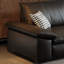 Finnell-1102776307-1102776310