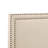 Charlie Upholstered Standard Bed-1257105824-1257105826-1257105776