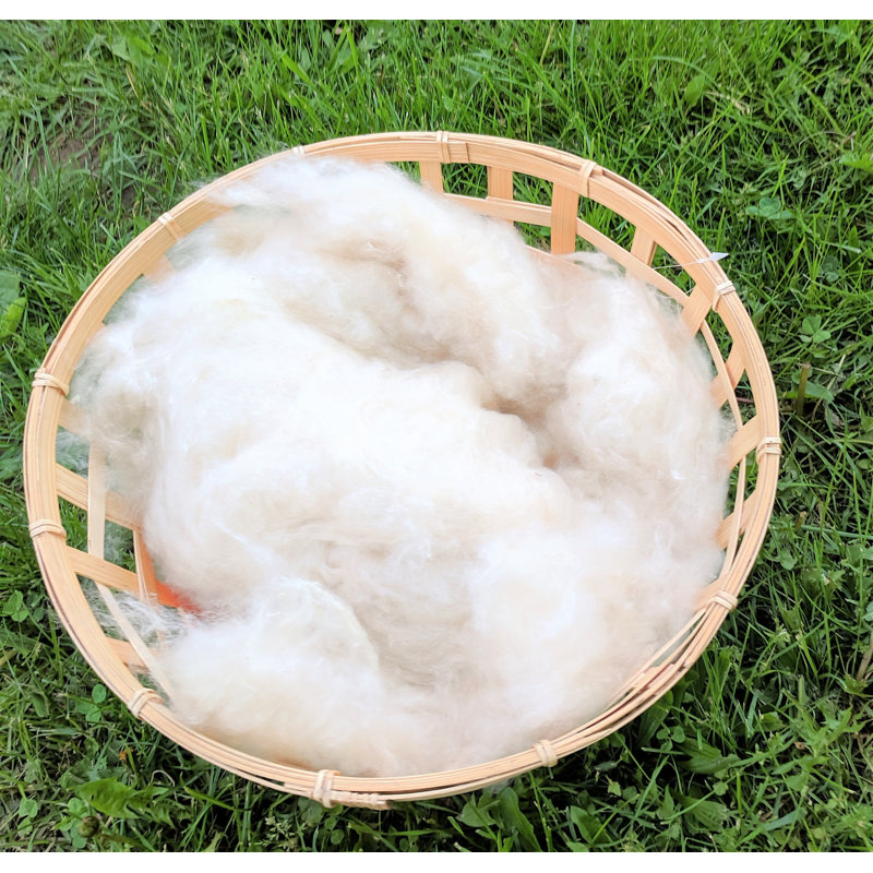 Wholesale Kapok Fiber by the Pound (lb), 25 lbs