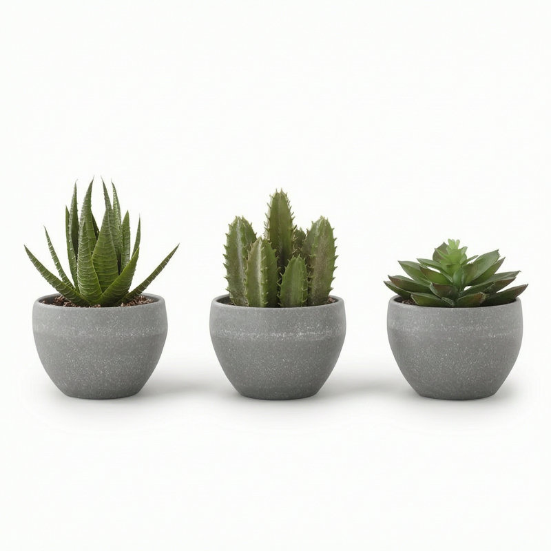 Ensemble de 3 plantes grasses artificielles de 5,7 po de hauteur en pots de ciment gris, décoration de table d'intérieur