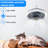 Delontae 12'' Ceiling Fan with LED Lights
