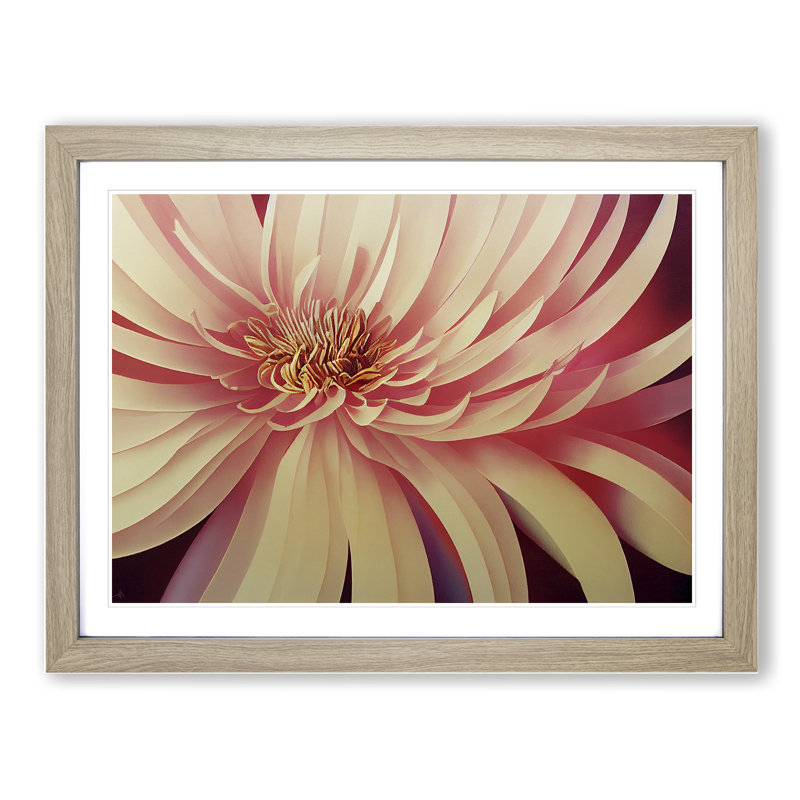 Chrysanthemum Flower Vol.4 - Framed Print, 25cm H x 34cm W x 2cm D, Oak Framed