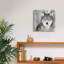 «Wolf» par PhotoINC Studio-744873266