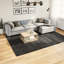 Nikshay Area Rug-2097346772