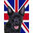 Australian Kelpie