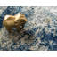 Tapis abstrait bleu marine / sauge Brantlie-45469122