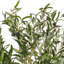 Arbre à fleurs vert olive Vickerman-73286562