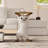 Modern Cat Side Table Floor Resin Figurine with Gold Tray End Table