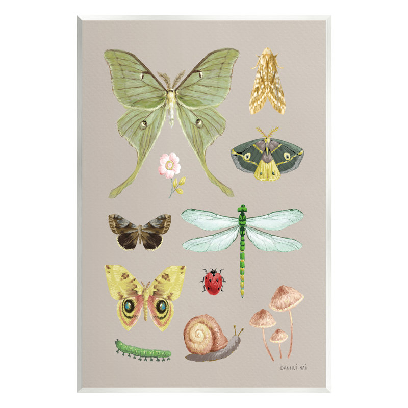 Diverses études sur les insectes par Danhui Nai - reproduction, H 15 po x l 10 po x P 0,5 po