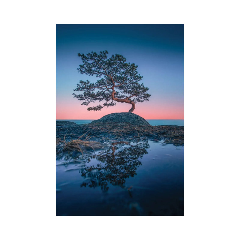 Bonsai II by Lauri Lohi - Wrapped Canvas Print, 66.04 cm H x 45.72 cm W x 1.91 cm D