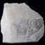 Assiette fossile Eurypterid. Lang's Quarry, Herkimer County, New York