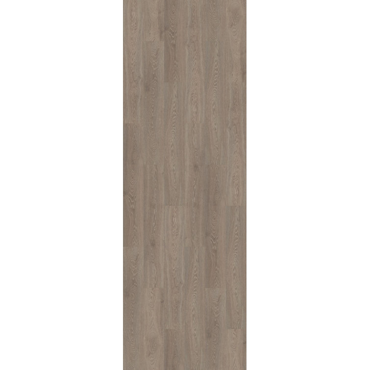 Essentials 8-in W x 48-in L x 11.6mm Oak Laminate Flooring