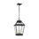 Falmouth 4 - Light LED Outdoor Hanging Lantern