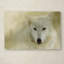 'Portrait of a Timber Wolf' Graphic Art Print on Wrapped Canvas-22072527