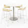 36" L Round Breakroom Table and Chair Set