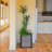 Elevated Planter-574812350