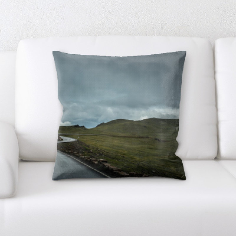 Microsuede Throw Pillow