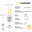 Ampoule DEL Luminus B10, culot E26, 60 W, 15 000 heures, intensité variable, paquet de 6-115358265-115358264-115358262