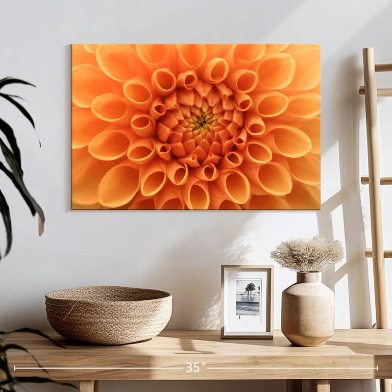 Harnek Dahlia Sandra, H 16 po x l 24 po