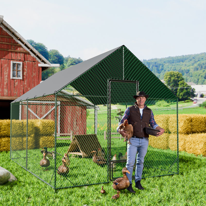 Chicken Run, 276cm H x 300cm W x 405cm D