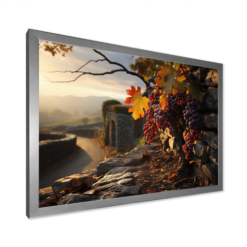 Vineyard Whispering Oaks sur impression sur toile, H 12 po x l 20 po x P 1 po, Cadre photo argenté