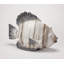 Hand Painted Ceramic Animals Decorative Object