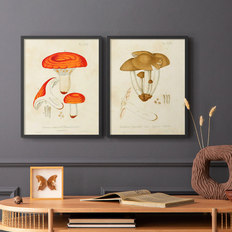 «Mushroom Variétés», reproduction encadrée de qualité supérieure - prête à être accrochée - aucun clou requis - aucun clou requis