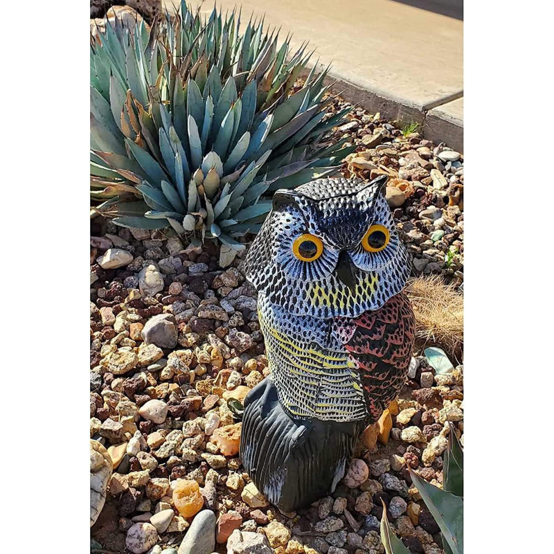Statue de jardin Dashuri PE