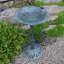Bain d'oiseaux Ditmas Frog-1494633923