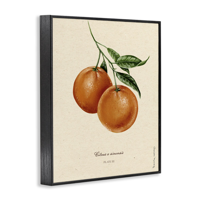 «Orange Fruit Portrait», estampe numérique, design par Danielle Murray, H 30 po x l 24 po, Giclée encadrée noir minuit