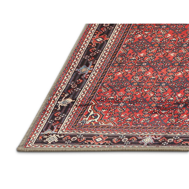 Oriental Indoor Rug, Rectangle 8' x 12'