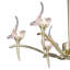 Schaeffer 6-Light Chandelier