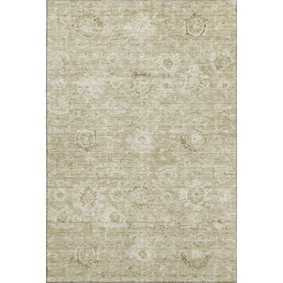 Premium Machine Washable Wayne AMF1089 Damask Rug