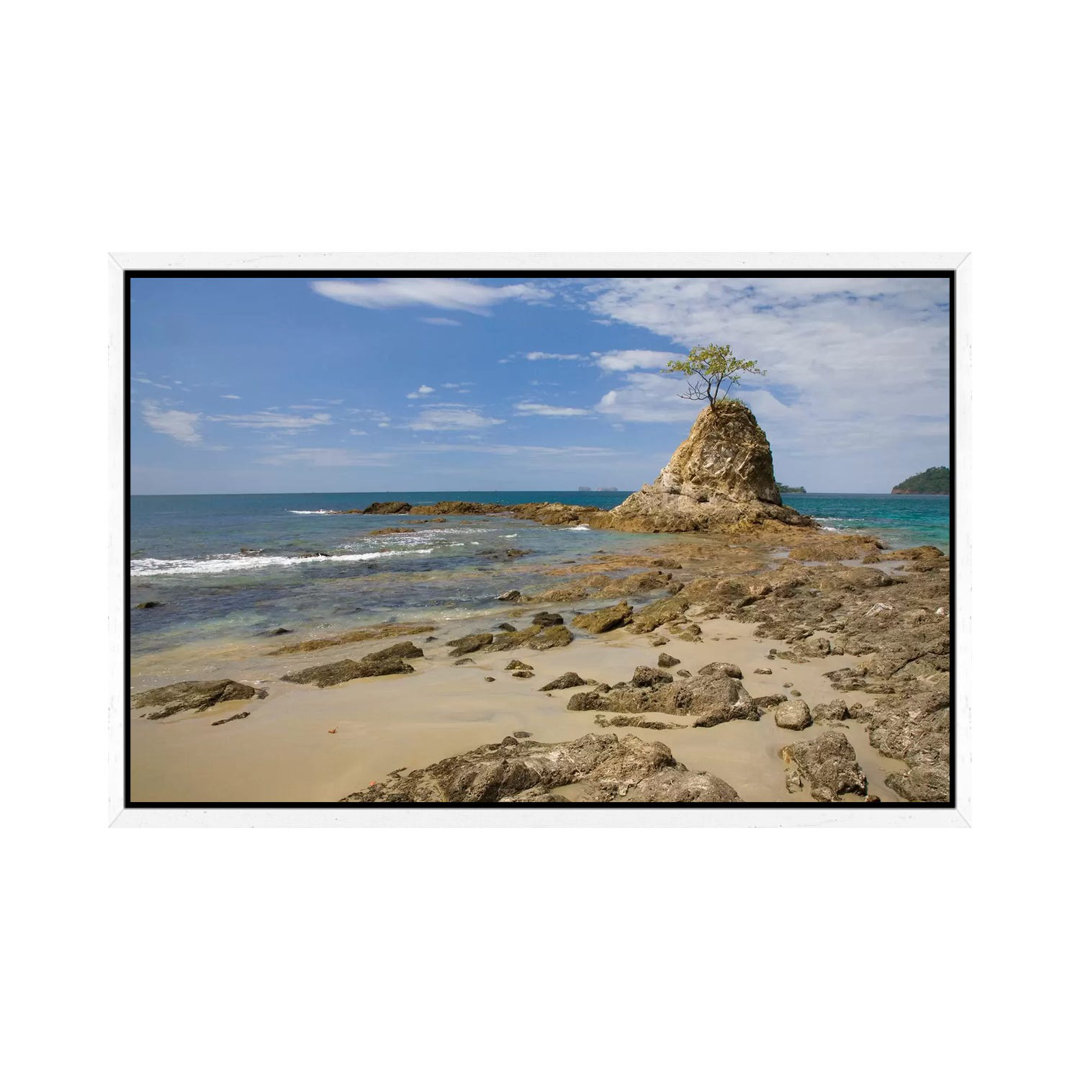 Punkt mit Baum am Strand von Penca, Costa Rica