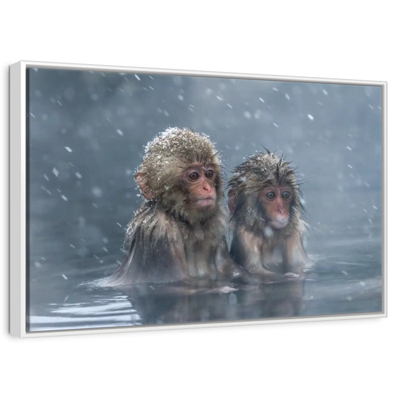 Duo de singes, Cadre flottant blanc, 37 po x 25 po