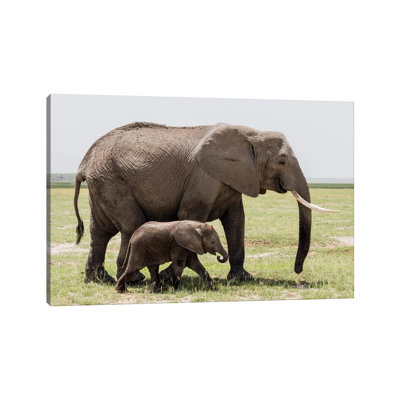 Africa, Kenya, Amboseli National Park Mother Elephant and Baby Walking 1 Piece Wrapped Canvas Painting