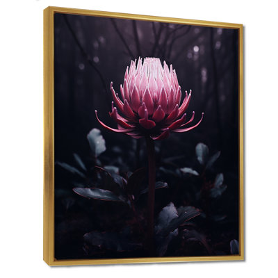 «Rose Protea Forest Flower - Autre plante et fleurs», art mural